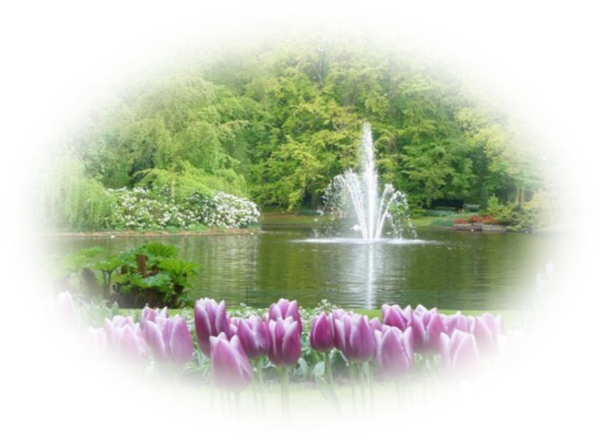 Szkkt tulipnokkal. Mret: 600 x 441 s 715 KB. Formtum: PNG.PNG
