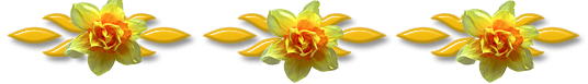 Nrciszsor. Daffodil row. Mret: 536 x 77 s 33, 2 KB.