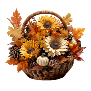 sz dszts termskosr naprafogval.