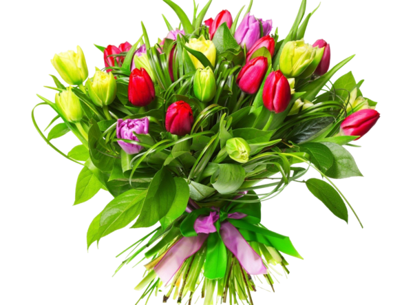 Sznes tulpnok krcsokorban.